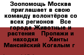 Зоопомощь.Москва приглашает в свою команду волонтёров со всех регионов - Все города Животные и растения » Пропажи и находки   . Ханты-Мансийский,Когалым г.